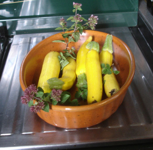 Recipes zucchini vegetable