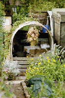 onions drying